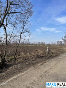 NA PREDAJ: Pozemok 5,3 ha v k.ú.Trnava ( Malženická cesta)