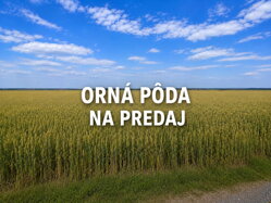NA PREDAJ ORNÁ PÔDA – TRNAVA, SMER MALŽENICE