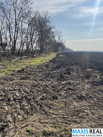 NA PREDAJ: Pozemok 5,3 ha v k.ú.Trnava ( Malženická cesta)