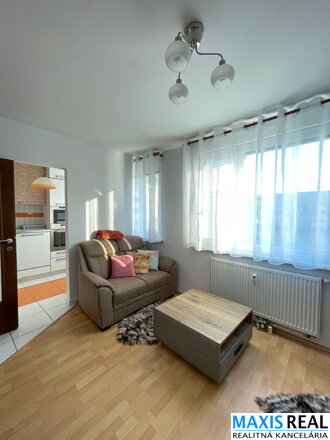 NA PRENAJOM: 1 izbový byt na Družbe